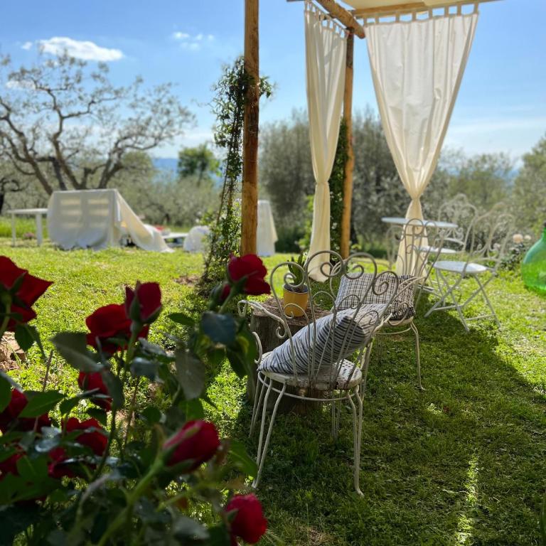 LE CASETTE ASSISI - Appartamento con 1 Camera da Letto - 14