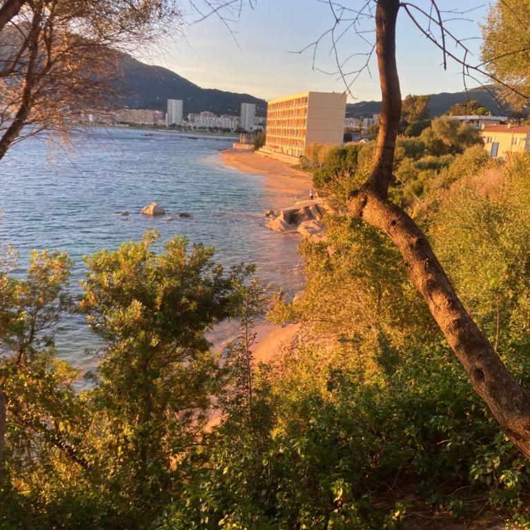 T2 standing Ajaccio - One-Bedroom Apartment - 11