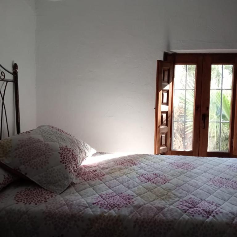 Villa Aguacate-Apto - Villa - 15