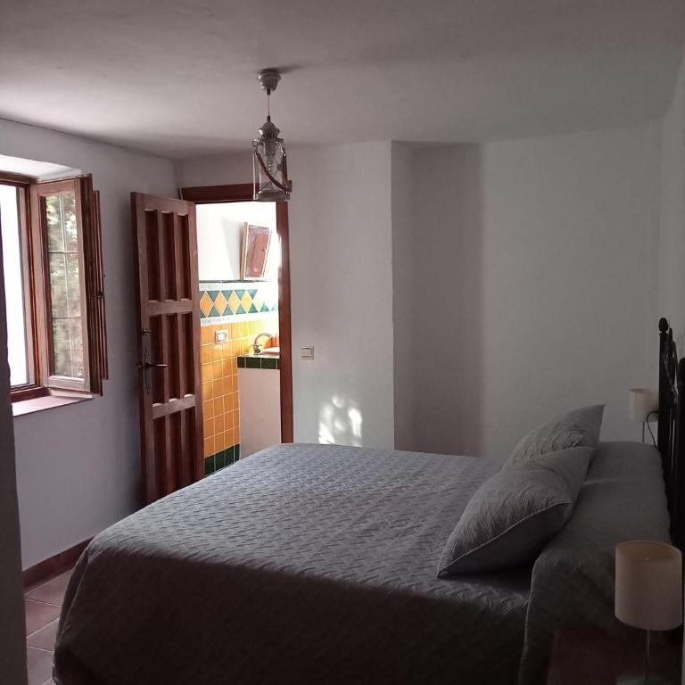Villa Aguacate-Apto - Villa - 9