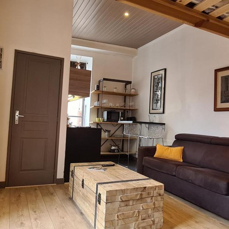 hyper centre Annecy et bord du lac - Apartment mit 1 Schlafzimmer - 5