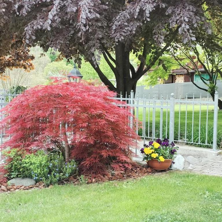 Casa Vacanze - Green Garden - Apartment with Garden View - 7