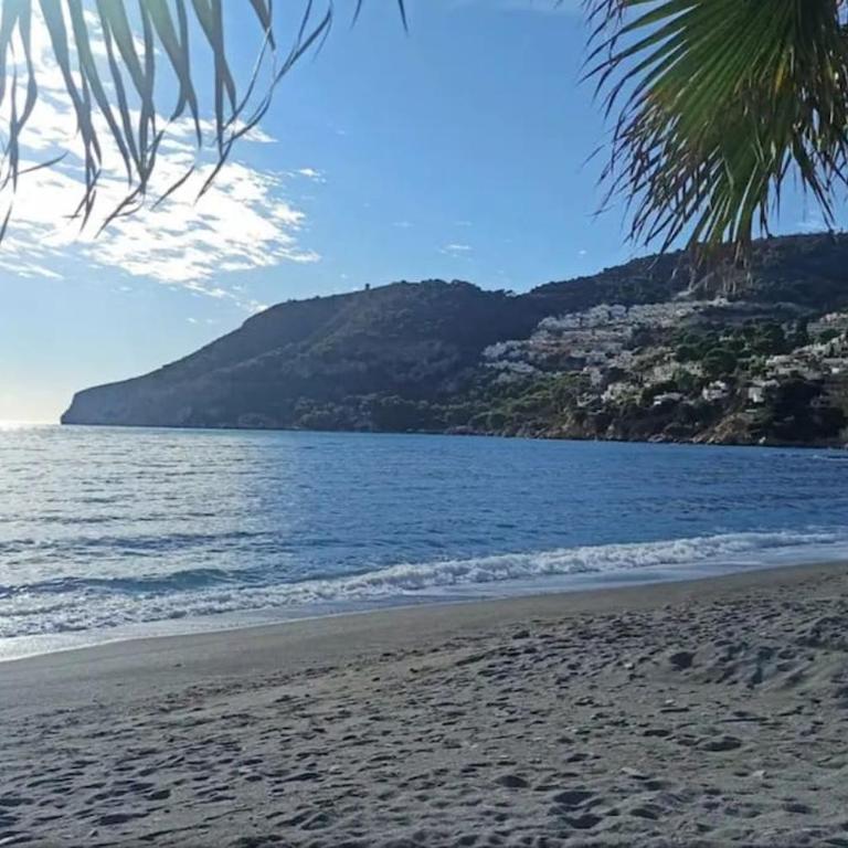 Piso en La Herradura - Two-Bedroom Apartment - 21