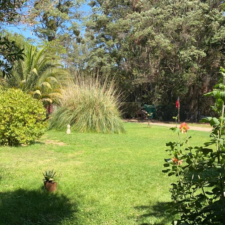 La Casa Vinilla - Suite Estándar - 1