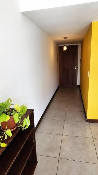 Luminoso departamento en la 5ta Sección - Apartamento de 1 dormitorio - 7