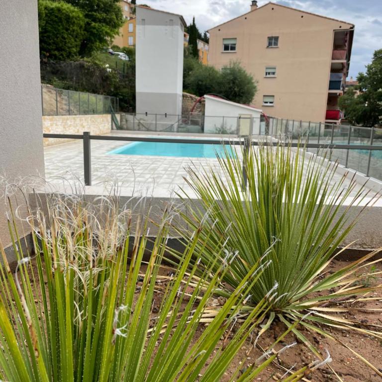 L'écrin des Oliviers - Appartement avec Terrasse - 16