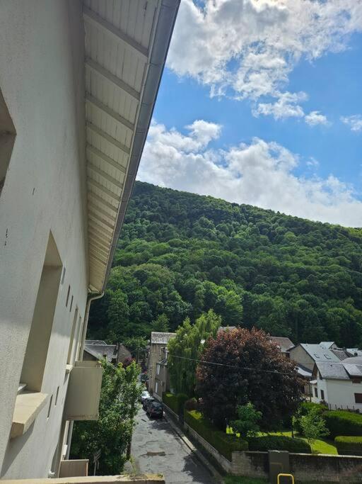 Chez Louise, Appartement T3 à deux pas du centre - Apartamento de 2 dormitorios - 16