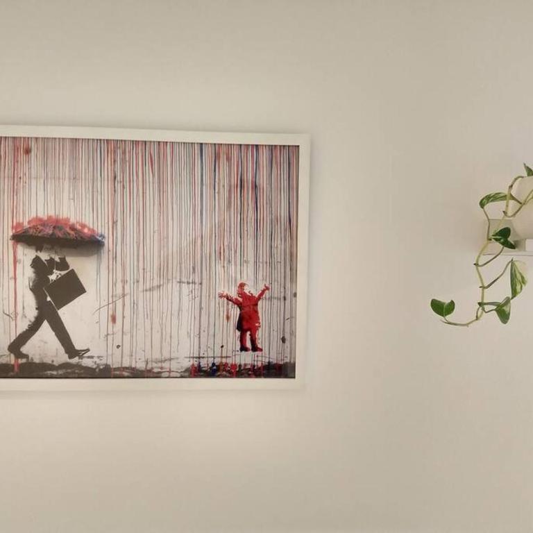 Hermoso departamento en La Plata Soho - Centro - Cochera Opcional - Apartamento de 1 dormitorio - 15