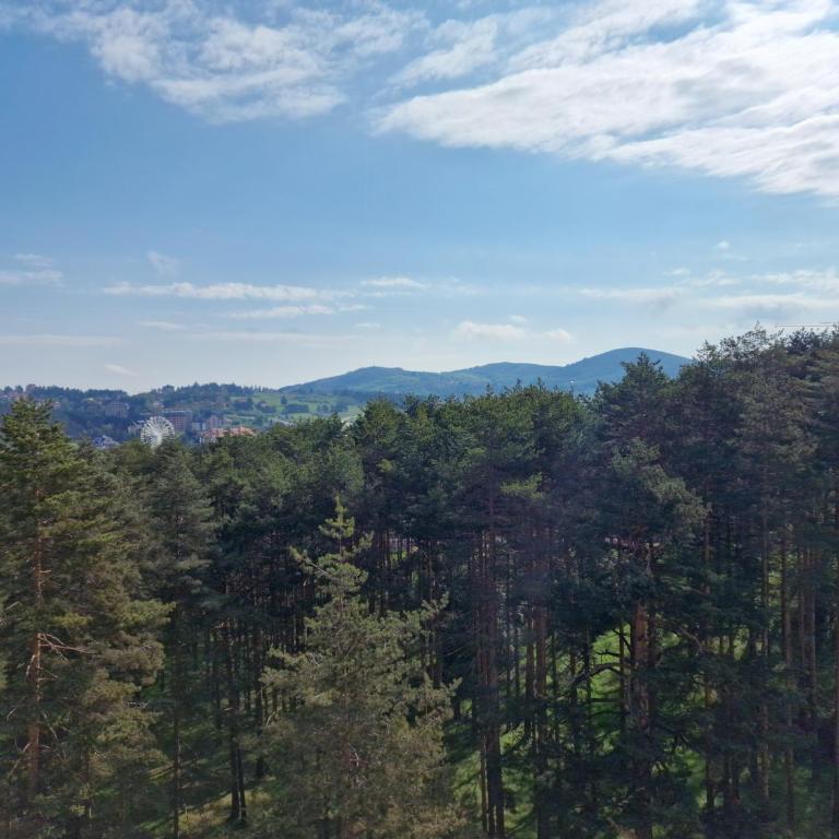 Zlatibor Royal Dream - One-Bedroom Apartment - 15