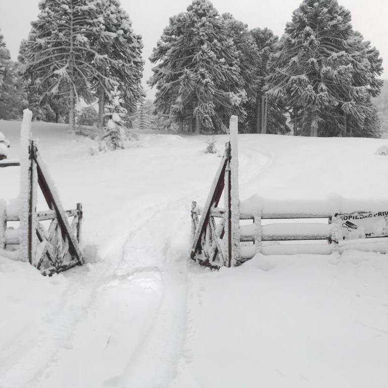 Malga Andina - Two-Bedroom House - 39