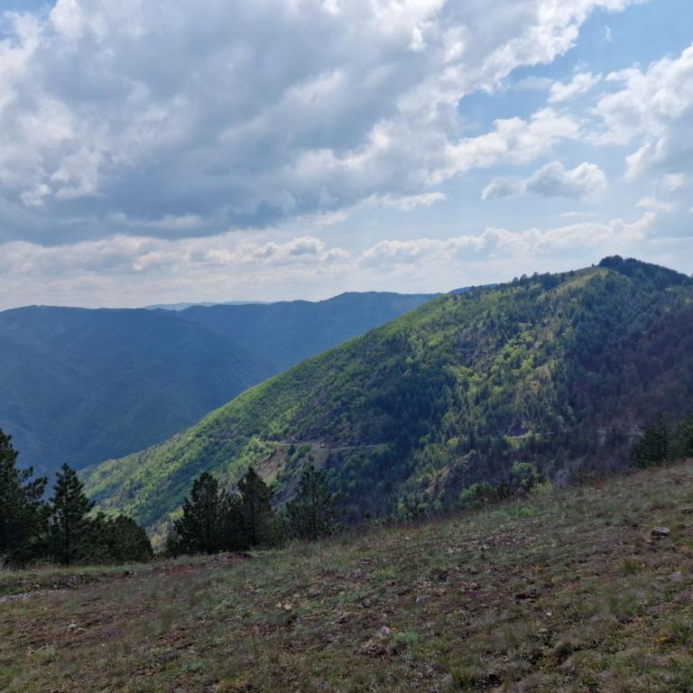Zlatibor Royal Dream - One-Bedroom Apartment - 14