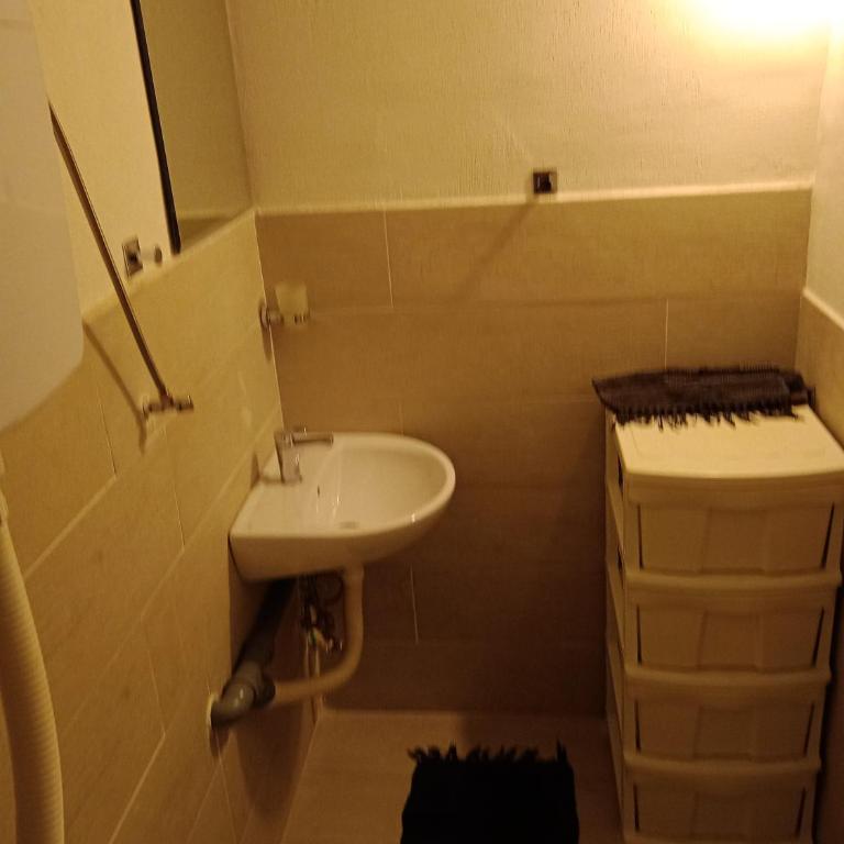 Apartments Simovic - Studio sa Balkonom - 15