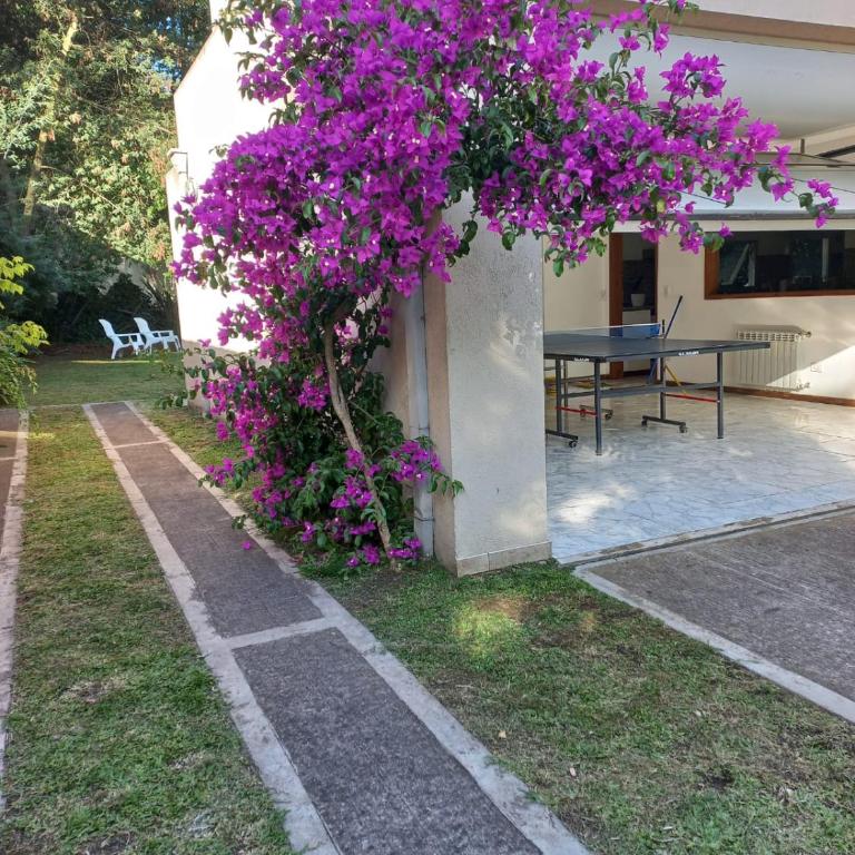 Sofia del Bosque - Casa de 3 dormitorios - 37