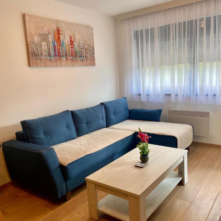 Apartment DINO Zlatibor - Apartman sa 1 Spavaćom Sobom - 7