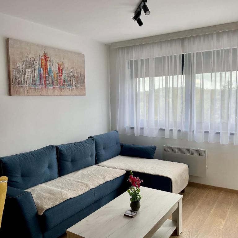 Apartment DINO Zlatibor - Apartman sa 1 Spavaćom Sobom - 12