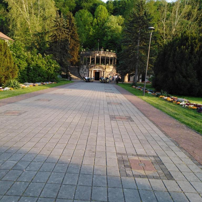 Apartman Sasa - Apartman sa 1 Spavaćom Sobom - 30
