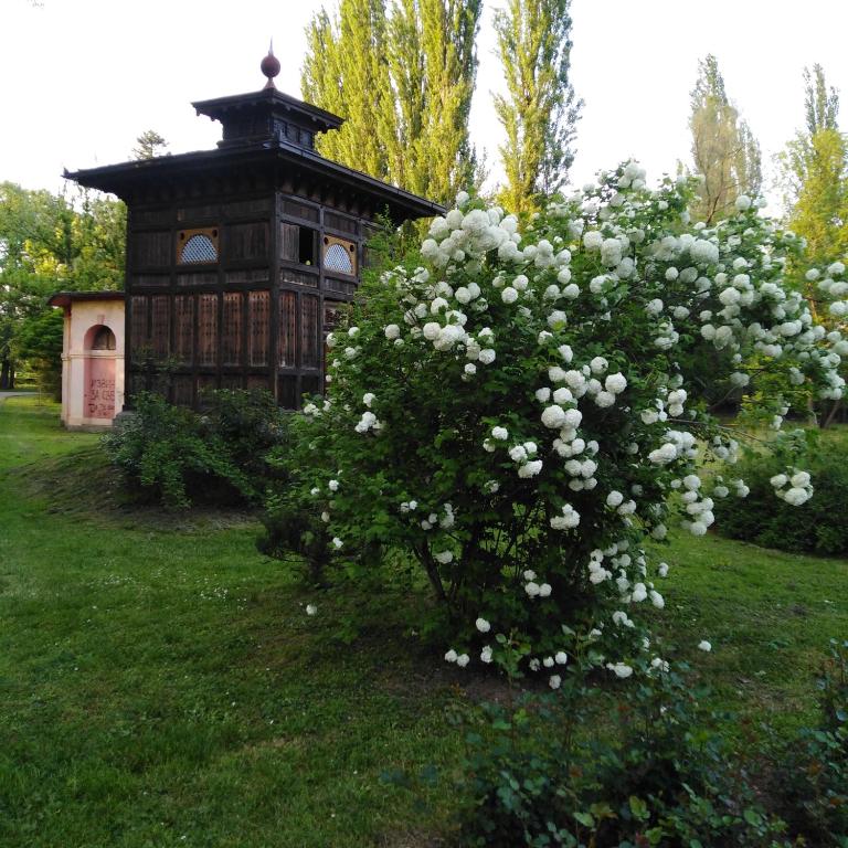 Apartman Sasa - Apartman sa 1 Spavaćom Sobom - 29