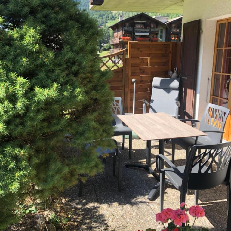 L'Hérensarde, bel appartement avec jardin-terrasse et garage - Apartment mit Terrasse - 14