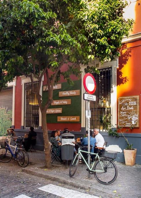 Cozy apartment in a typical Sevillian patio house - Apartamento de 1 dormitorio - 21