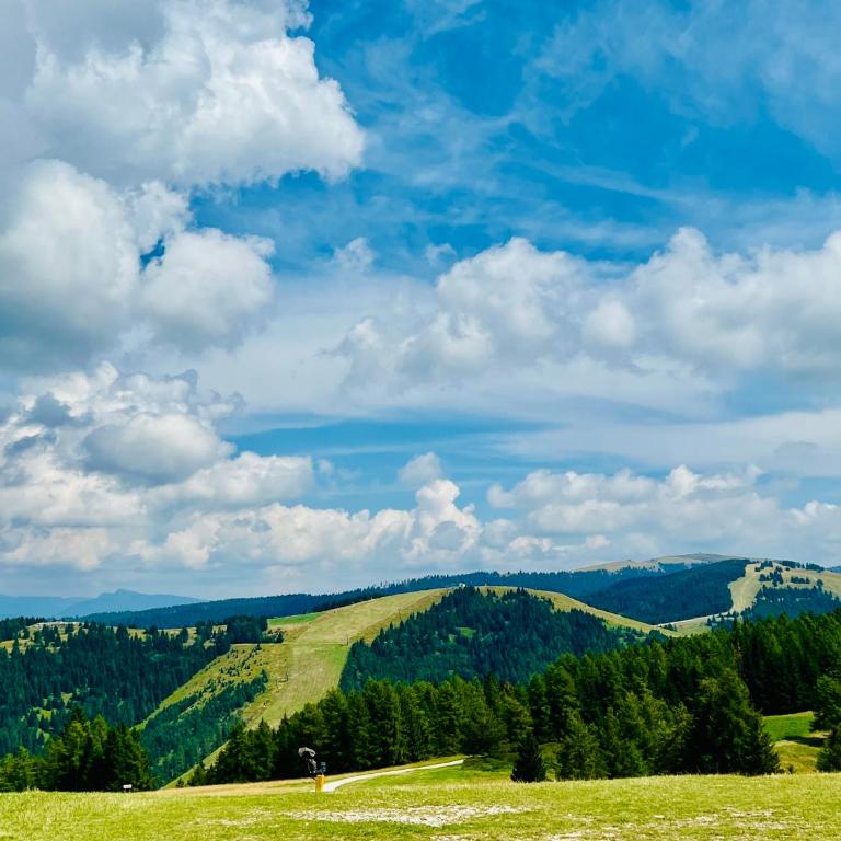 Grazioso trilocale nel cuore di Folgaria - Apartamento de 2 dormitorios - 36