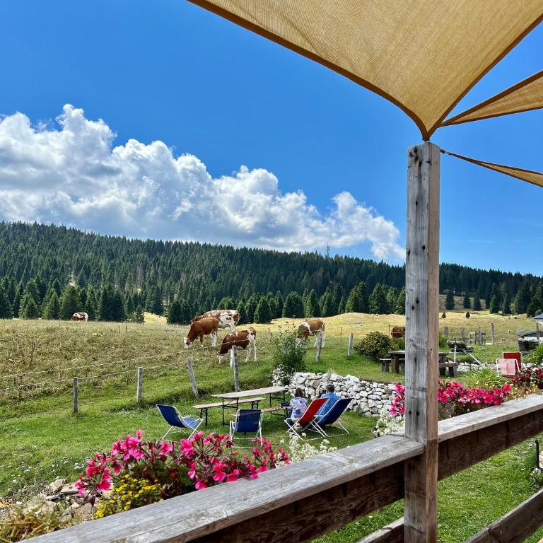 Grazioso trilocale nel cuore di Folgaria - Apartamento de 2 dormitorios - 43