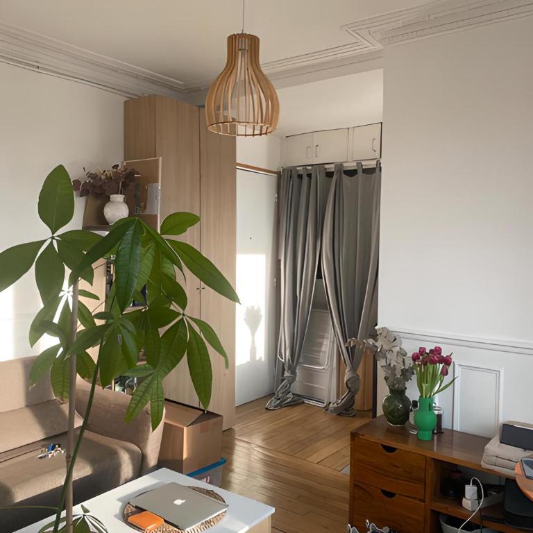 Appartement ensoleillé, central et tout équipé avec vue Tour Eiffel et Panthéon - Appartement 1 Chambre - 1