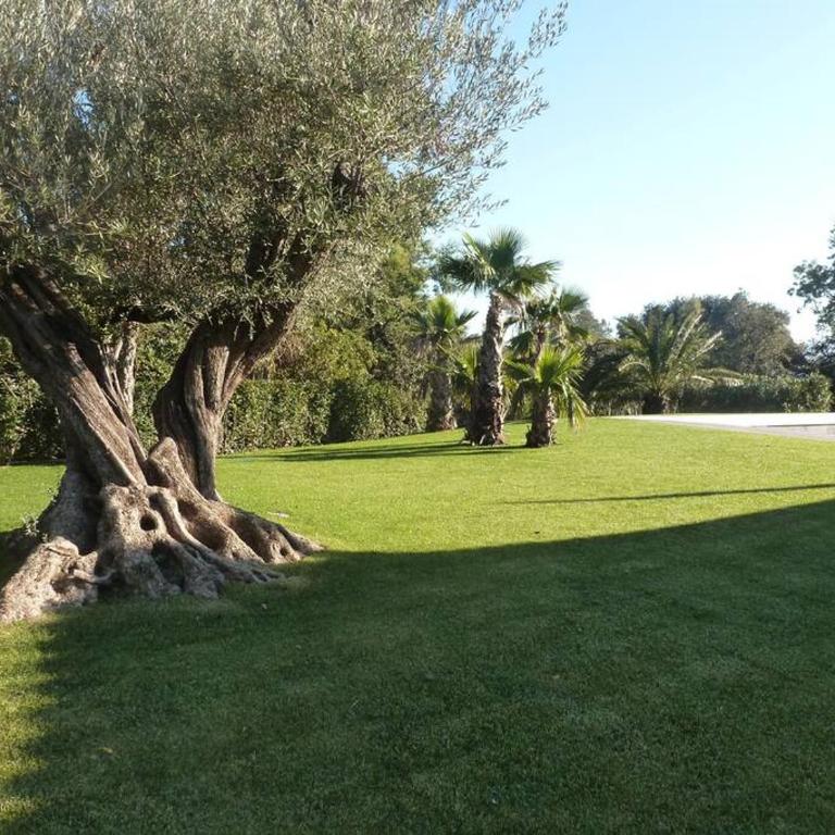 Luxueuse Villa vue mer avec piscine Golfe de St Tropez 14 personnes - Villa - 26