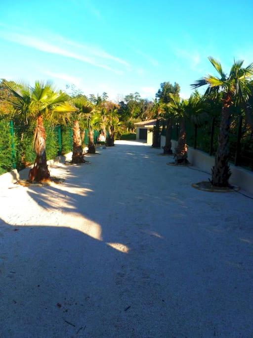 Luxueuse Villa vue mer avec piscine Golfe de St Tropez 14 personnes - Villa - 29