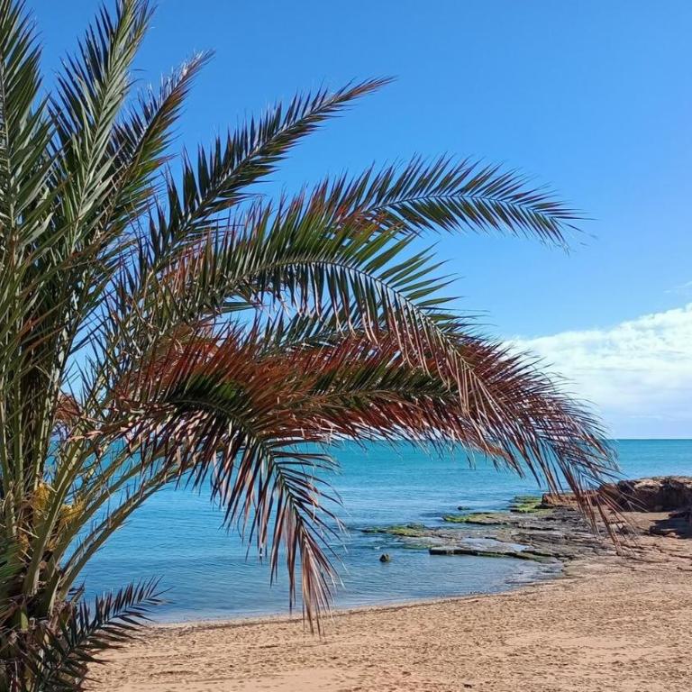 Apartamento Emperador, Pinada Beach, La Mata, Torrevieja - Apartamento de 2 dormitorios - 49