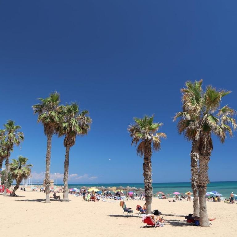 Apartamento Bella Vista - Aqua Nature La Mata - Apartamento de 2 dormitorios - 29