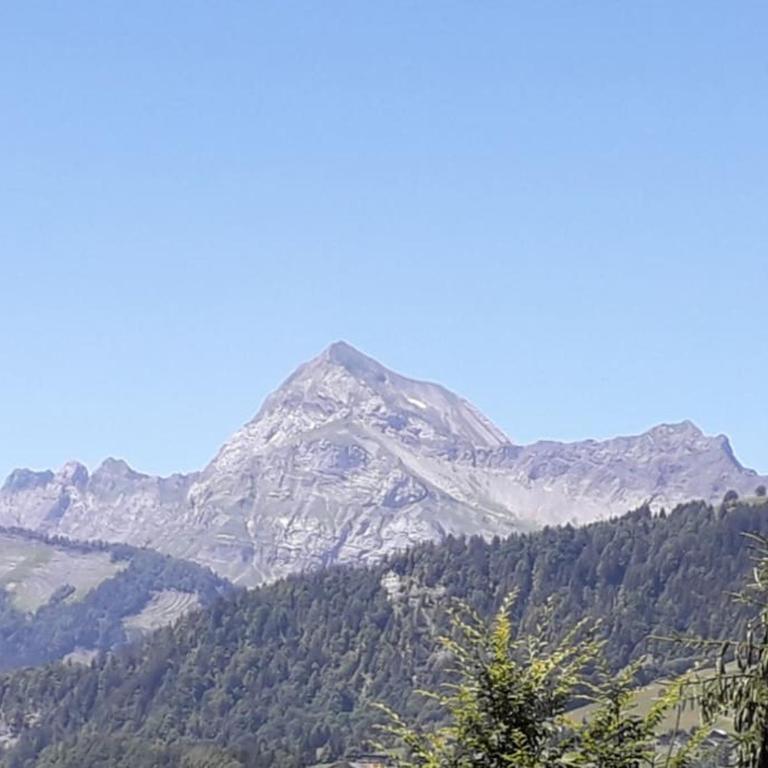 chalet l'Orignal 145m2, 10pers, pied de piste,SPA - Haus mit 4 Schlafzimmern - 40