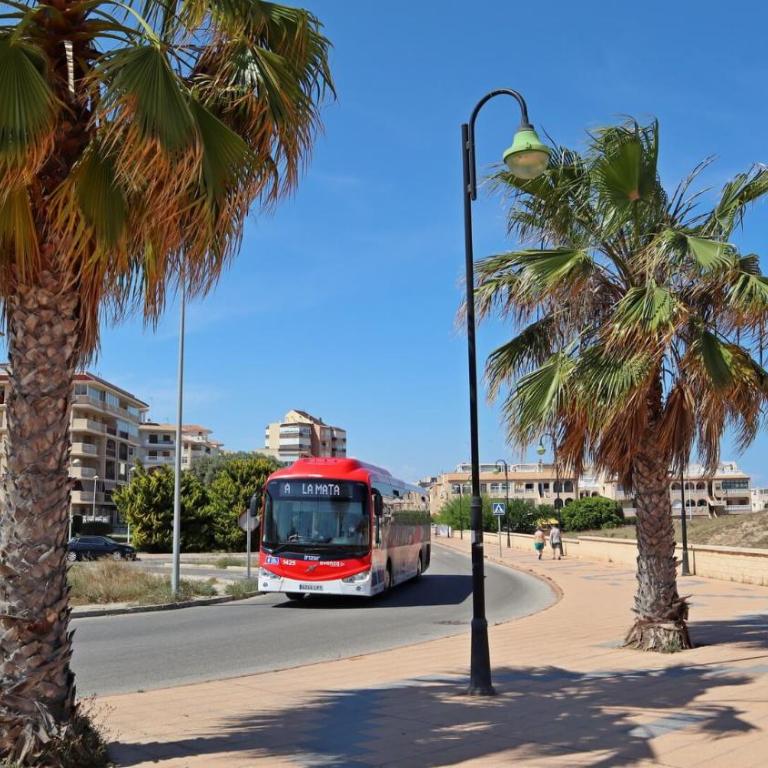 Apartamento Limon, Viñamar III, La Mata - Apartamento de 1 dormitorio - 36