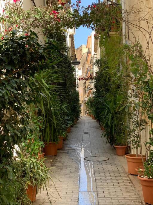 Cute pueblo house in heart of Javea old town - Casa Unifamiliar de 2 dormitorios - 30