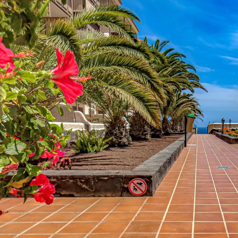 Atlantic 1 One bedroom apartment with ocean view and pool - Apartamento con balcón - 38