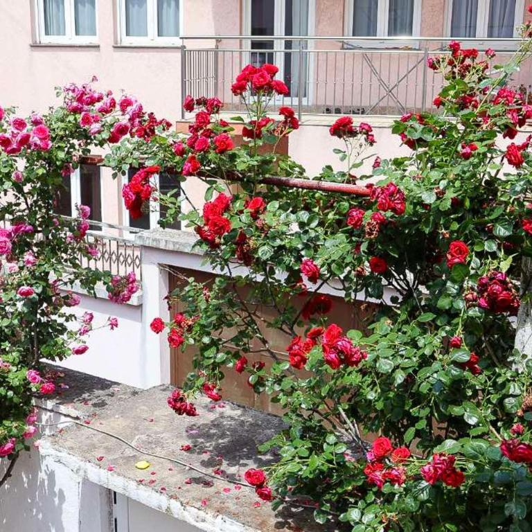 Apartman Sun-free parking - One-Bedroom Apartment - 23
