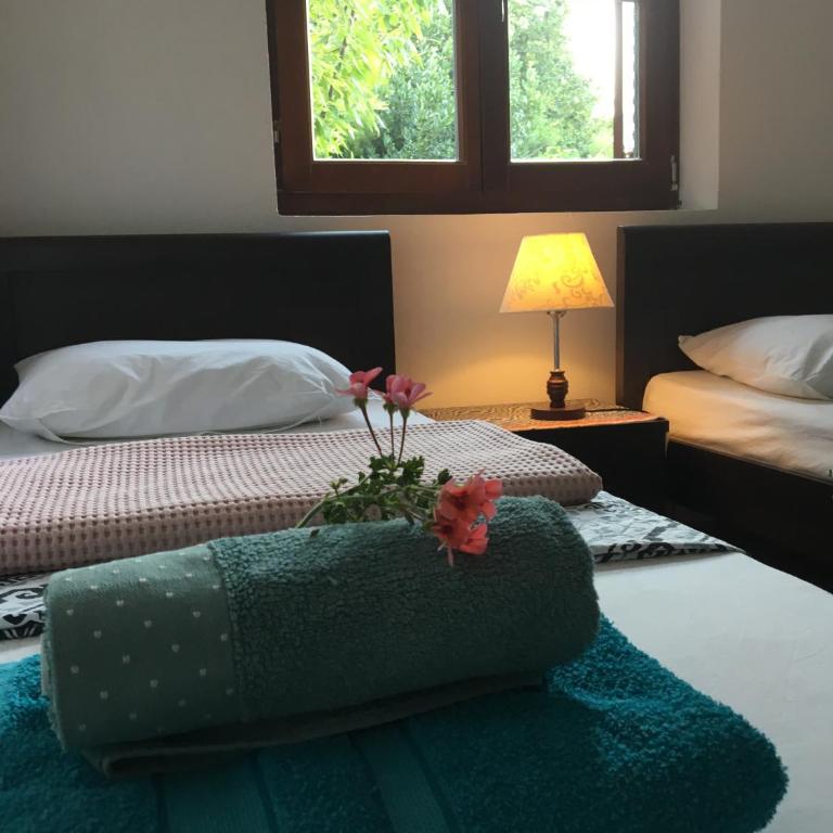 Zazenda House - Two-Bedroom Apartment - 19