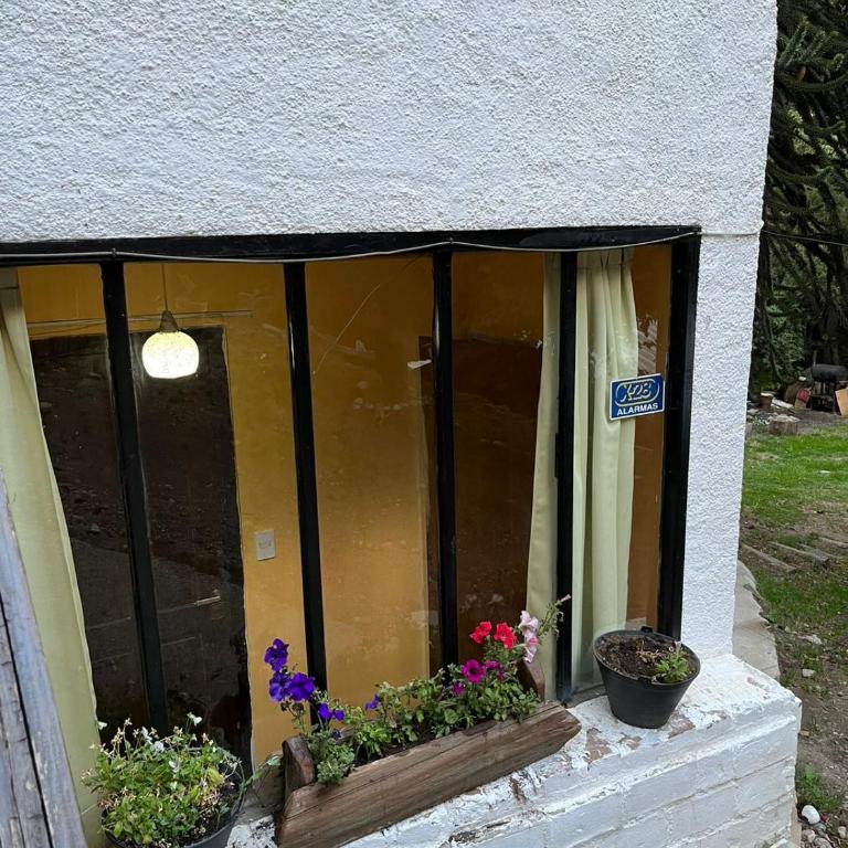 Monoambiente céntrico con hermoso patio - Apartamento - 9