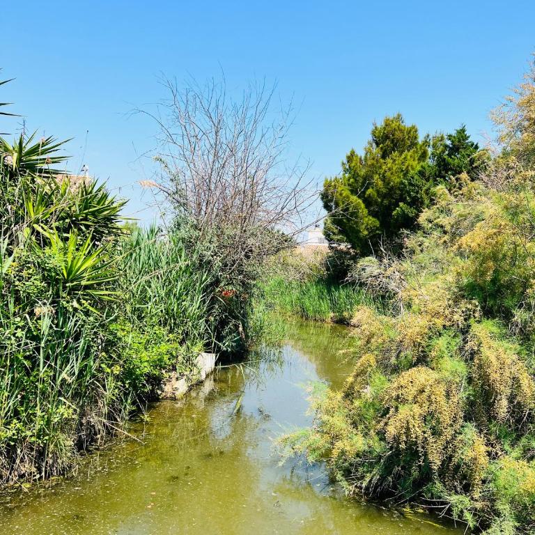 Cabane le Flamant avec jardin, piscine et parking - Appartement 1 Chambre - 31