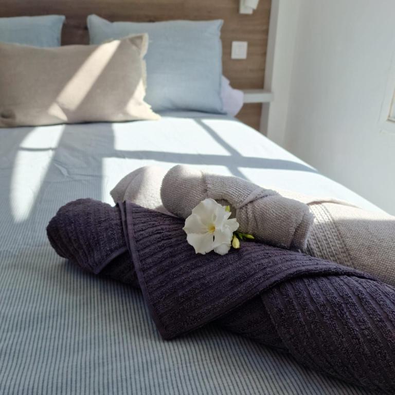 Nora Retreat (Fully Renovated) - Villa de 2 dormitorios - 13
