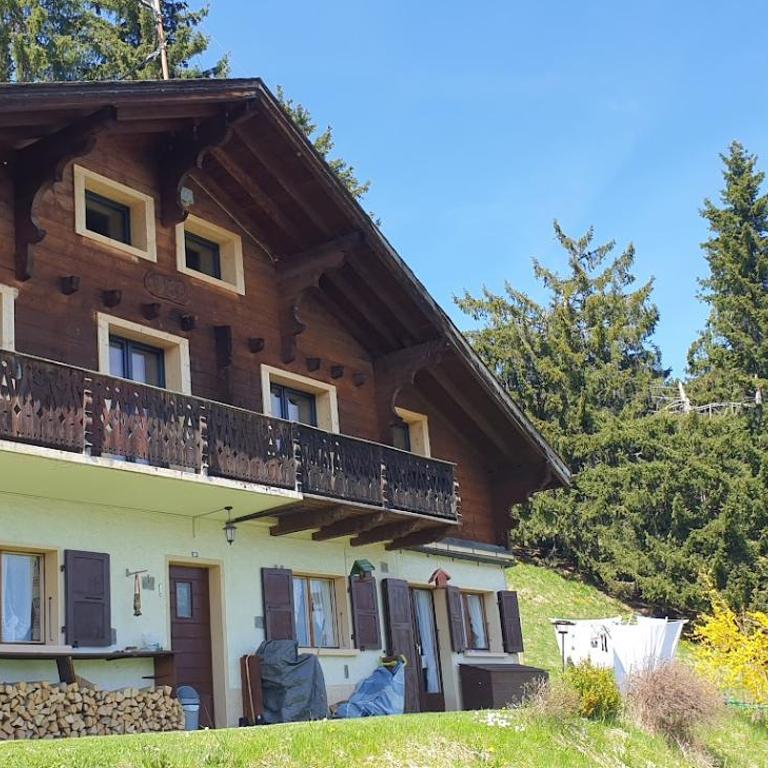 Chalet le Grenier des Crosets, Vue exceptionnelle sur les Dents du Midi - Chalet - 31