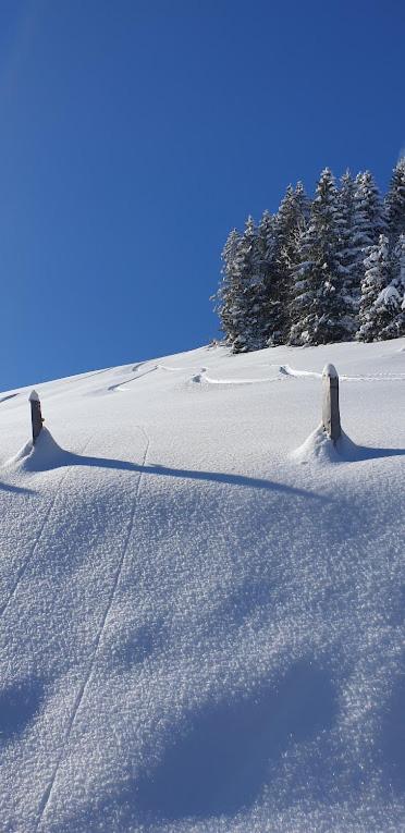 Chalet le Grenier des Crosets, Vue exceptionnelle sur les Dents du Midi - Chalet - 18