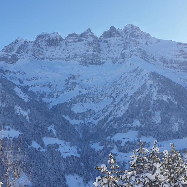 Chalet le Grenier des Crosets, Vue exceptionnelle sur les Dents du Midi - Chalet - 22