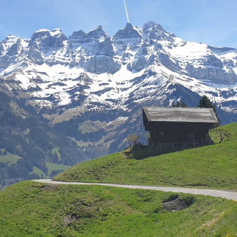 Chalet le Grenier des Crosets, Vue exceptionnelle sur les Dents du Midi - Chalet - 30