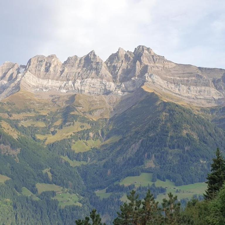 Chalet le Grenier des Crosets, Vue exceptionnelle sur les Dents du Midi - Chalet - 34