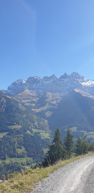 Chalet le Grenier des Crosets, Vue exceptionnelle sur les Dents du Midi - Chalet - 26