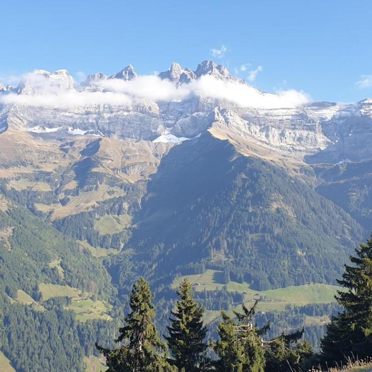 Chalet le Grenier des Crosets, Vue exceptionnelle sur les Dents du Midi - Chalet - 23