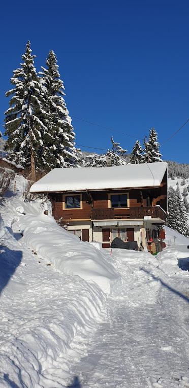 Chalet le Grenier des Crosets, Vue exceptionnelle sur les Dents du Midi - Chalet - 20