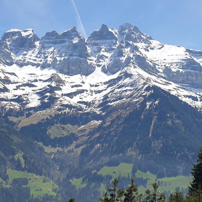 Chalet le Grenier des Crosets, Vue exceptionnelle sur les Dents du Midi - Chalet - 25