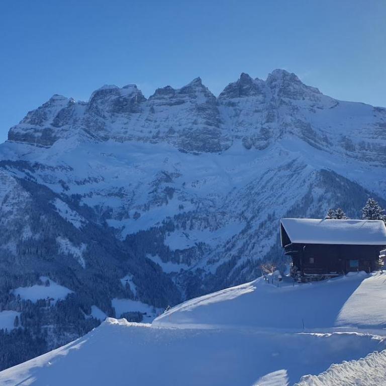 Chalet le Grenier des Crosets, Vue exceptionnelle sur les Dents du Midi - Chalet - 3