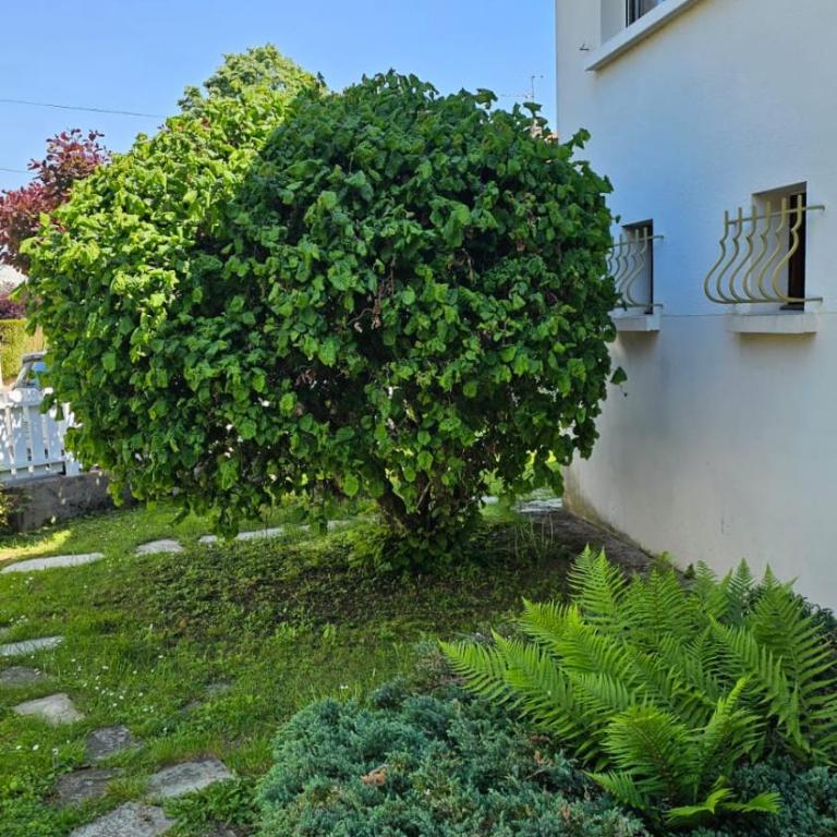 Villa La Moraine - Maison 2 Chambres - 29